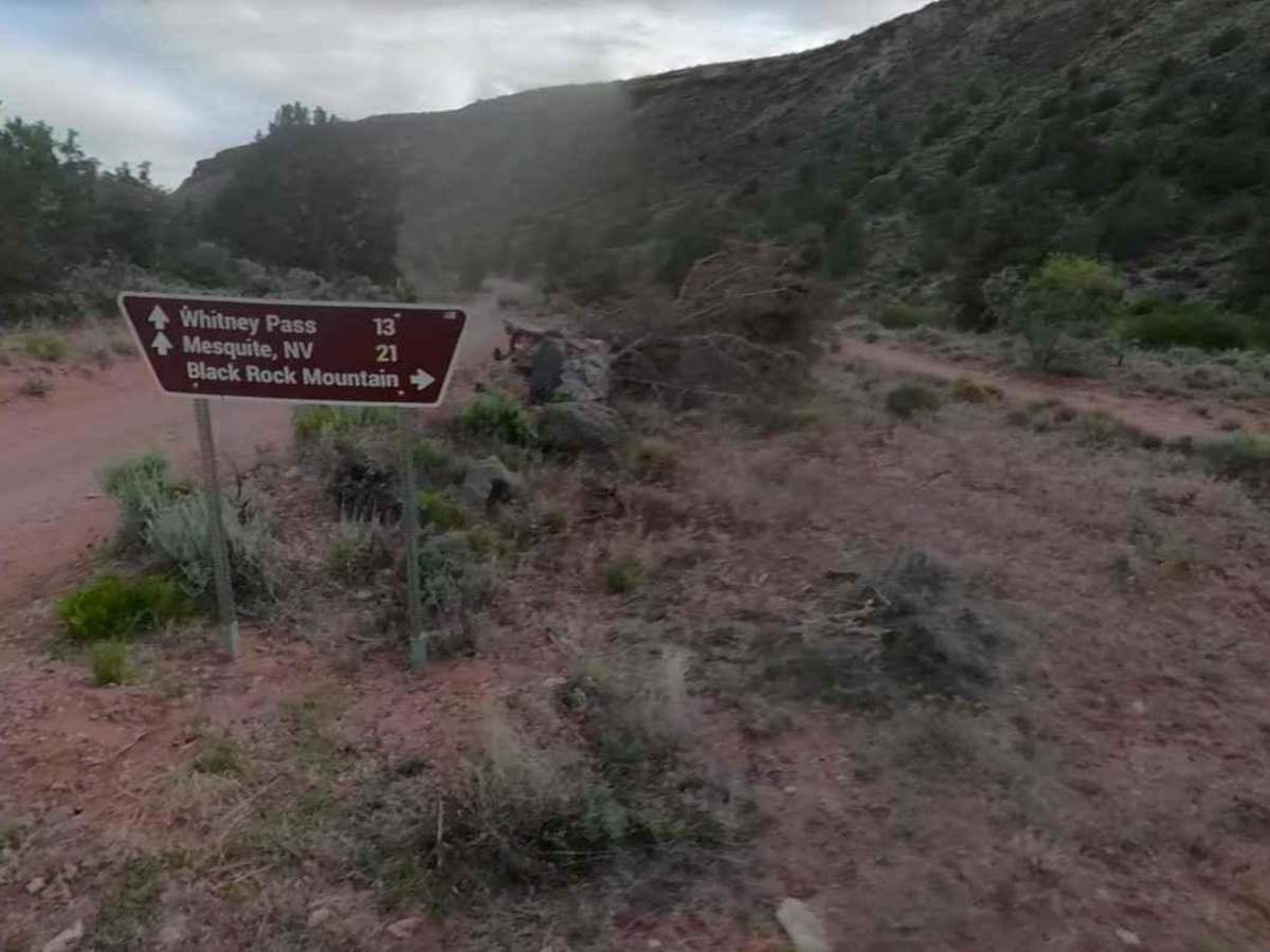 Jacobs Well to Brumley Well (County 101) photo 3