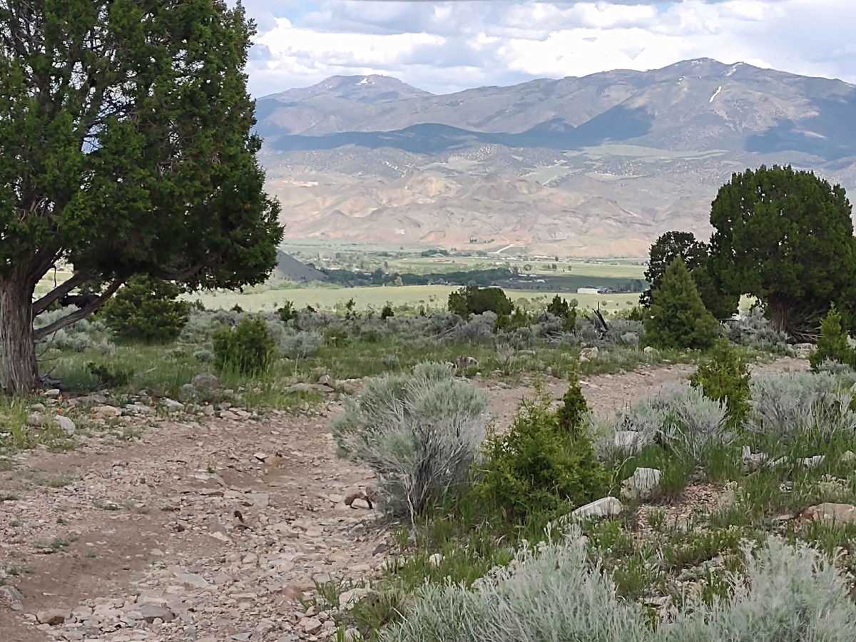 Cottonwood-Bullion Interconnect Trail to Hwy 89 trail photo