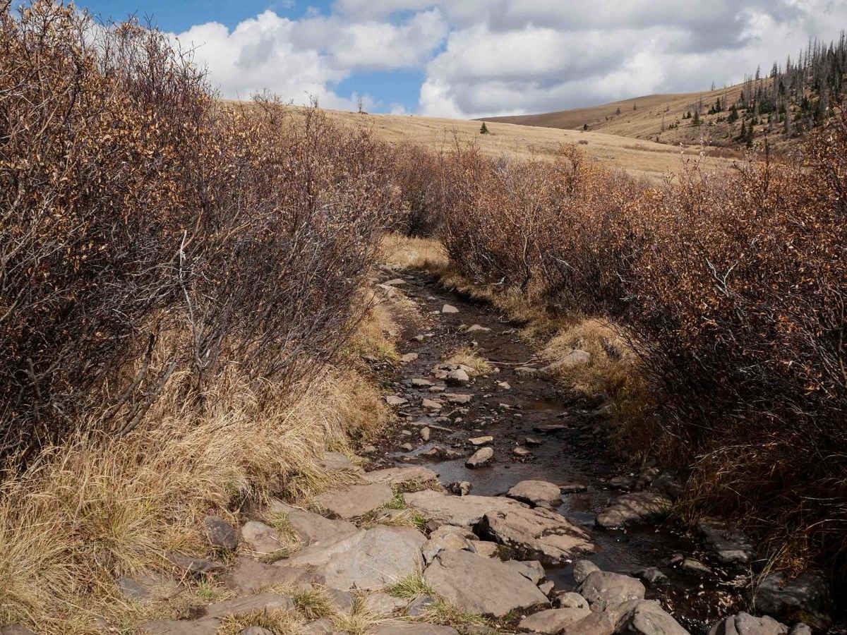 Perry Creek ATV photo 3