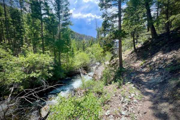 North Fork Big Creek