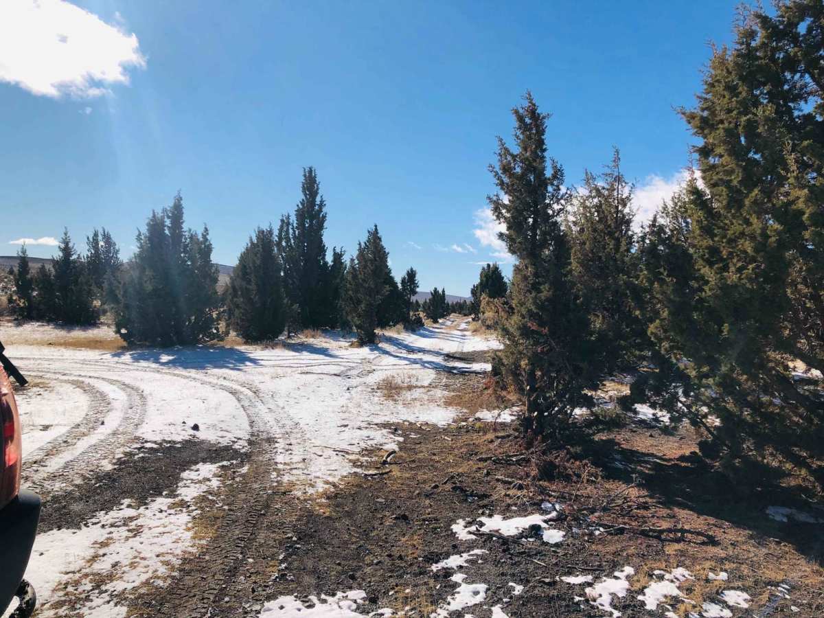 Lakebed Cutover photo 6
