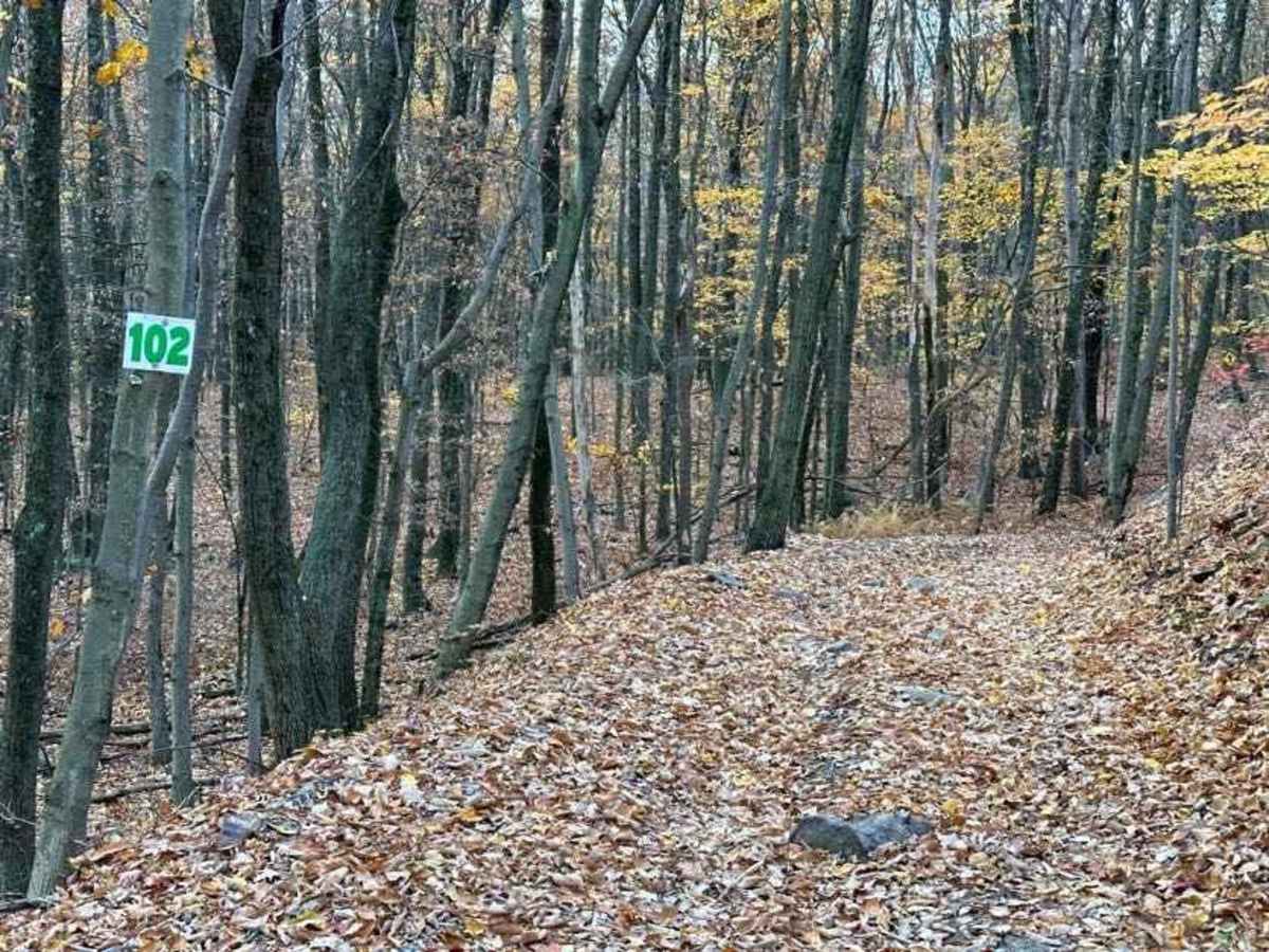 102A Green trail photo