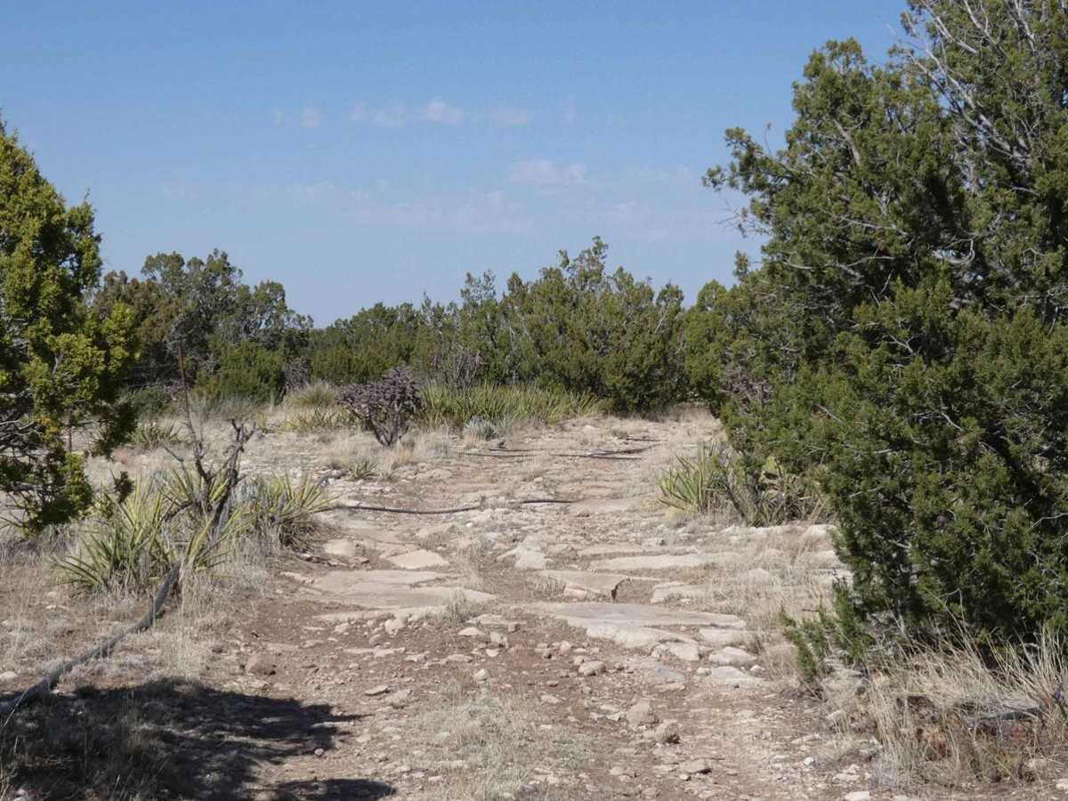 Indian Creek Overlook photo 5