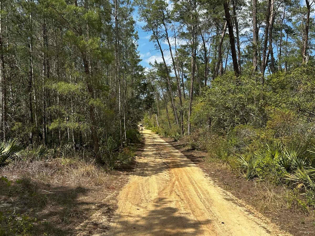 ONF Trail 5-18.4 trail photo