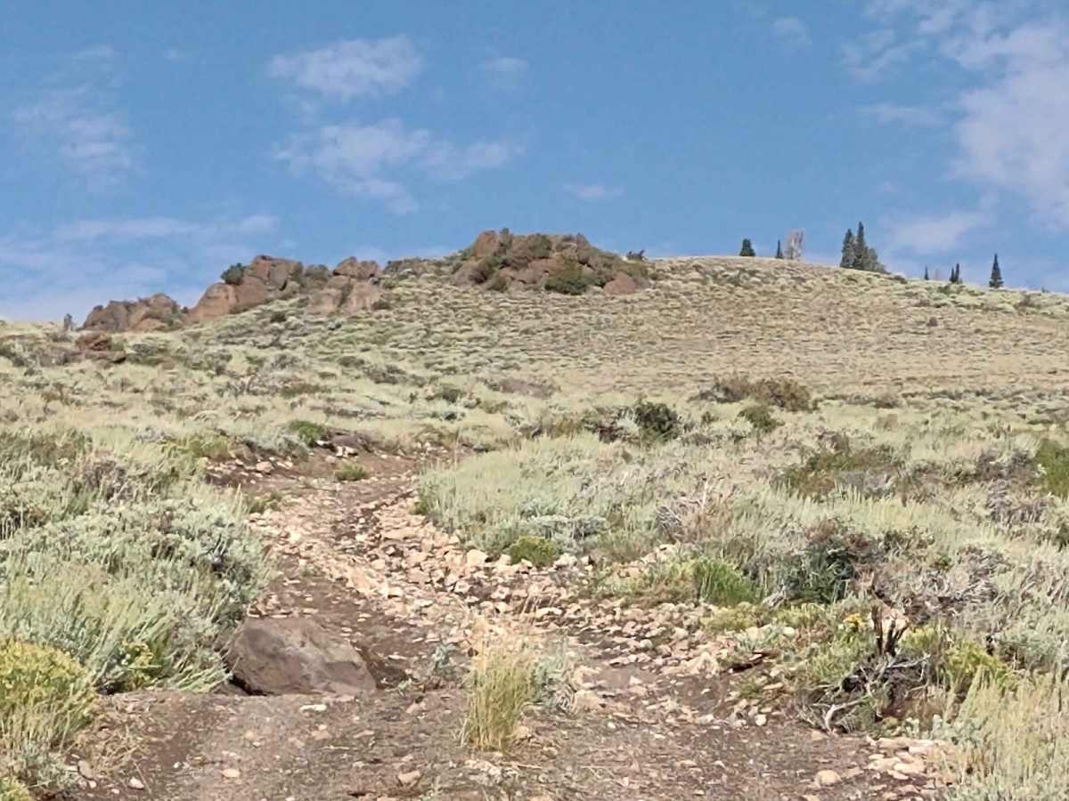 Bald Knolls trail photo