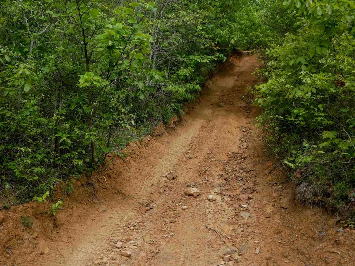 OP 42 trail photo