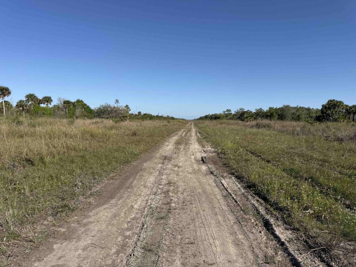 DeSoto Boulevard South photo 4