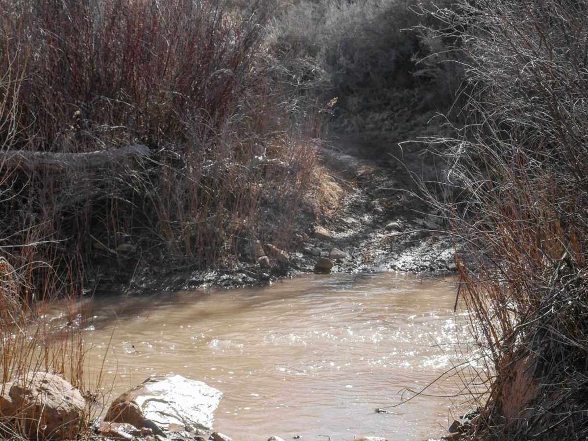 Dry Creek ATV Trail photo 3