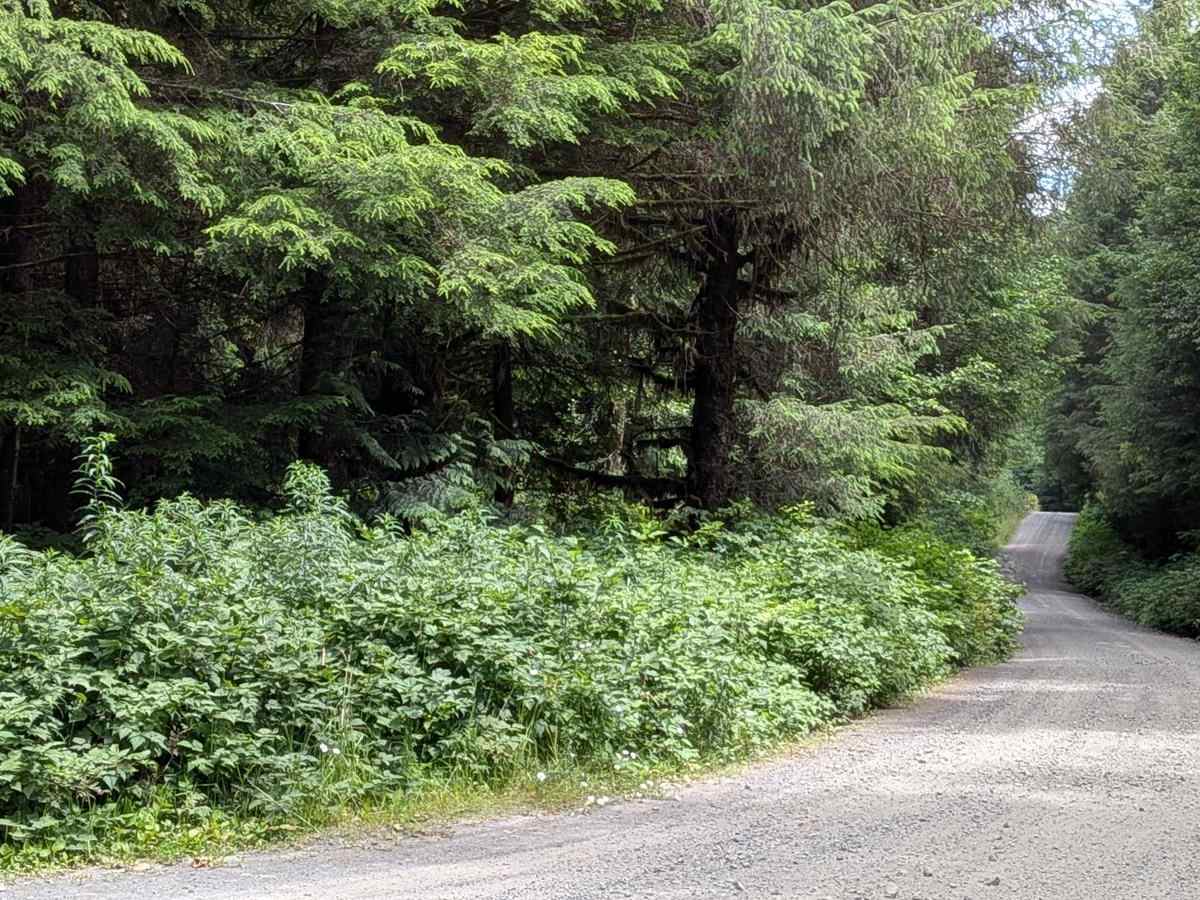 Hathaway Main trail photo
