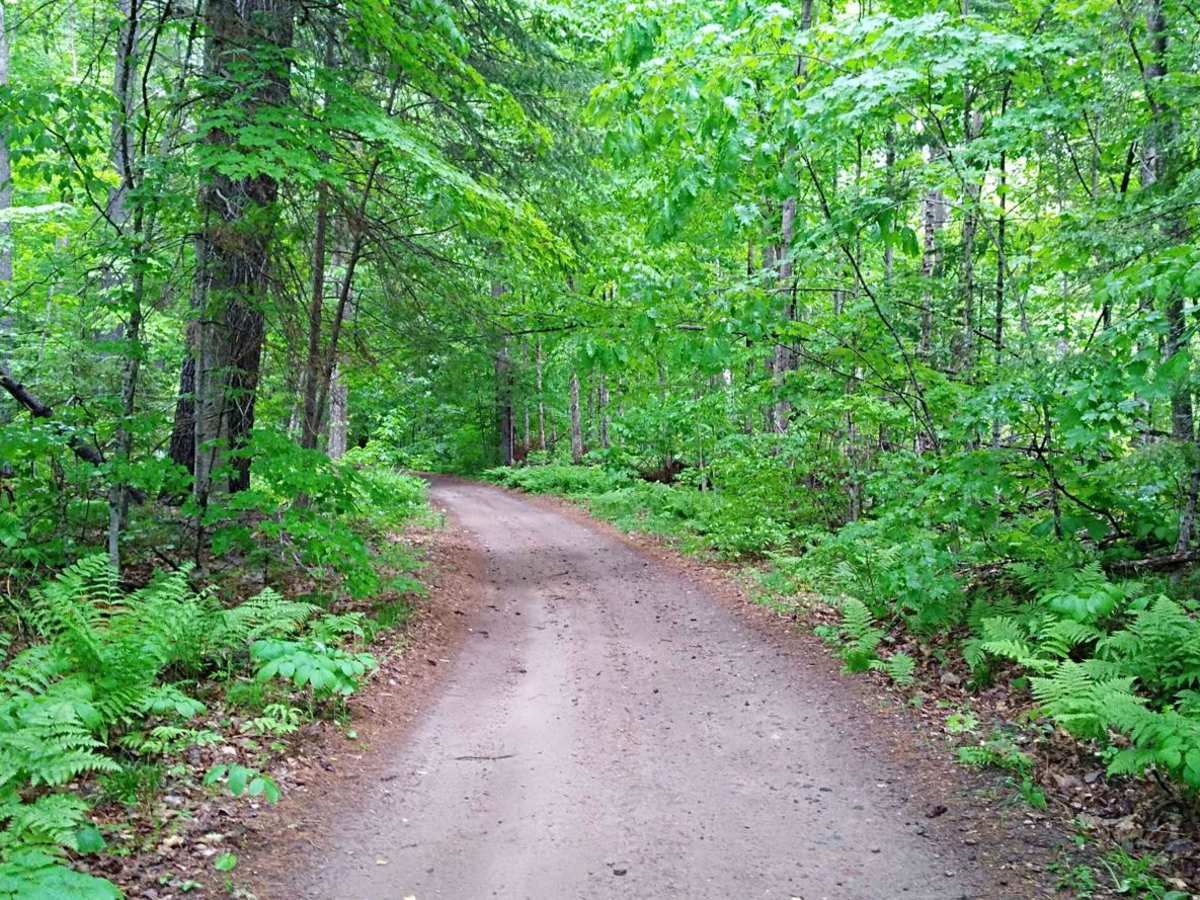UPM Blandin Trail South photo 4