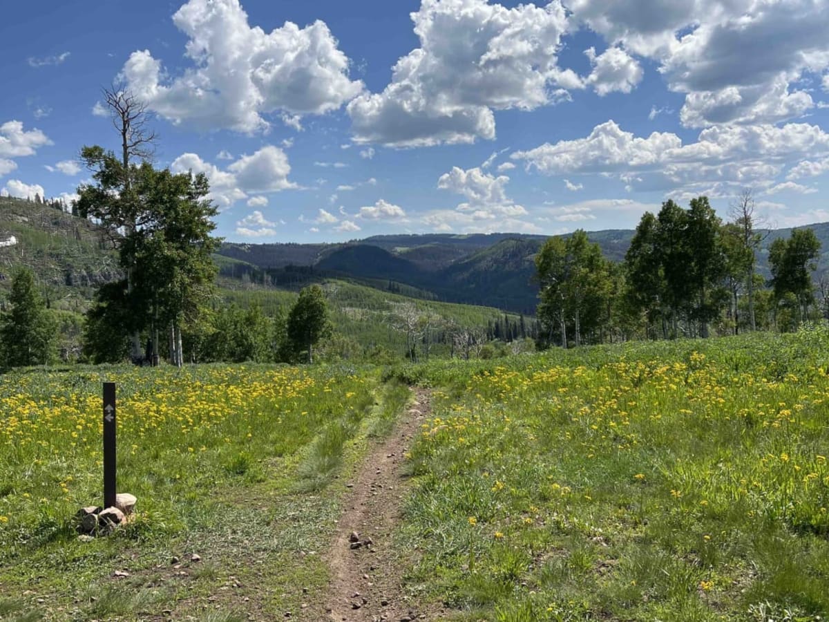 Willow Hollow Ridge trail photo