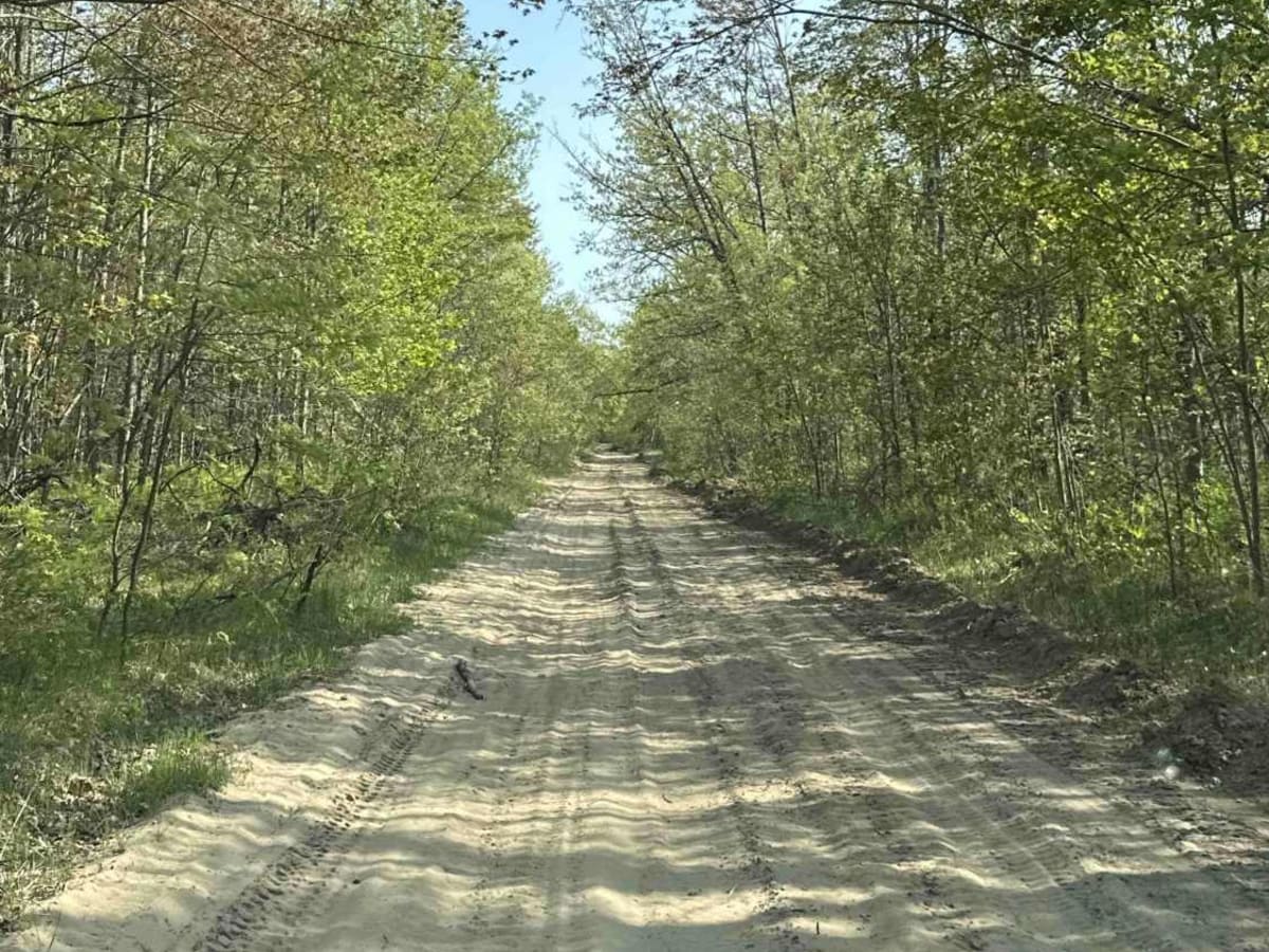 FS 4329 photo 4