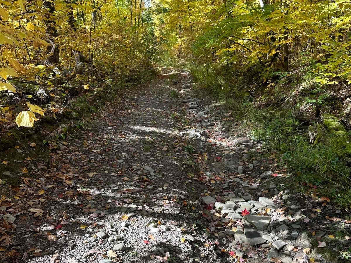 Wood Hill Road photo 5