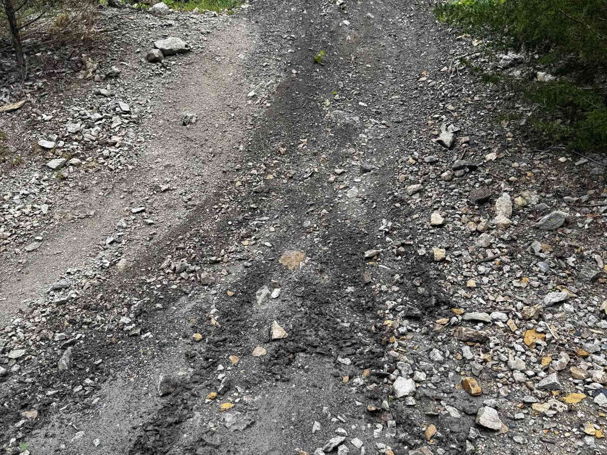 Red 167 trail photo