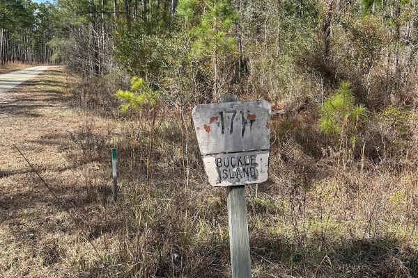 Buckle Island Road - FSR171