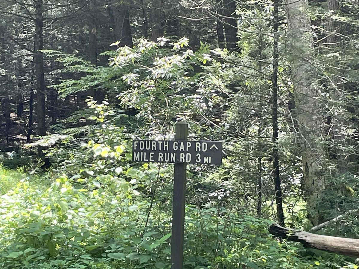 Fourth Gap Road trail photo