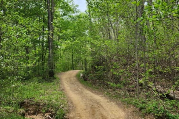 Tobe Lewis Road