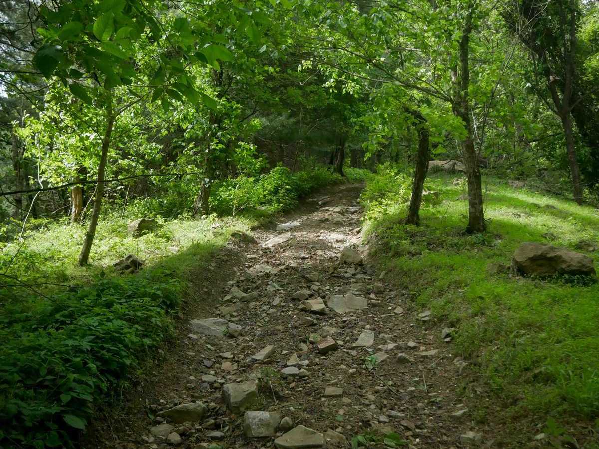 MV24 trail photo
