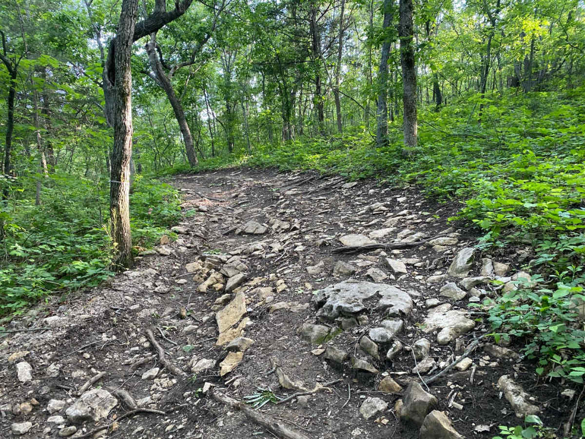 4x4 Land photo 4
