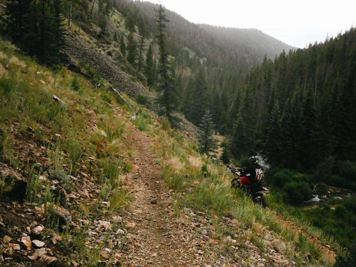 Miners Creek Trail photo 2