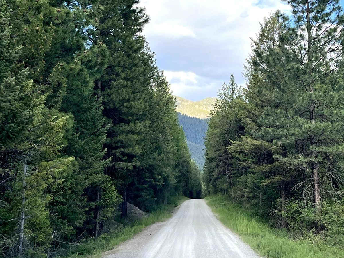 Upper Lion Creek - NF9769 photo 2