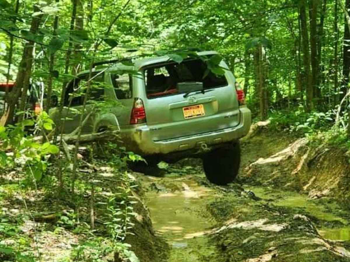 Mountain Springs Road photo 4