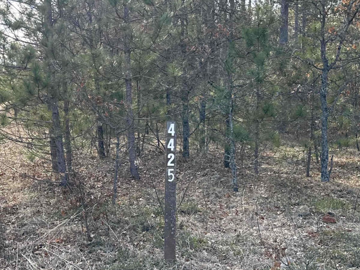 FS 4425 trail photo