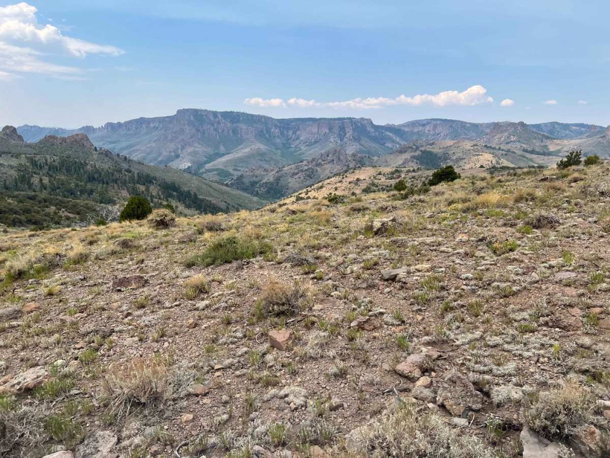 Center Creek - Flattop (BLM 30191/30190) photo 2