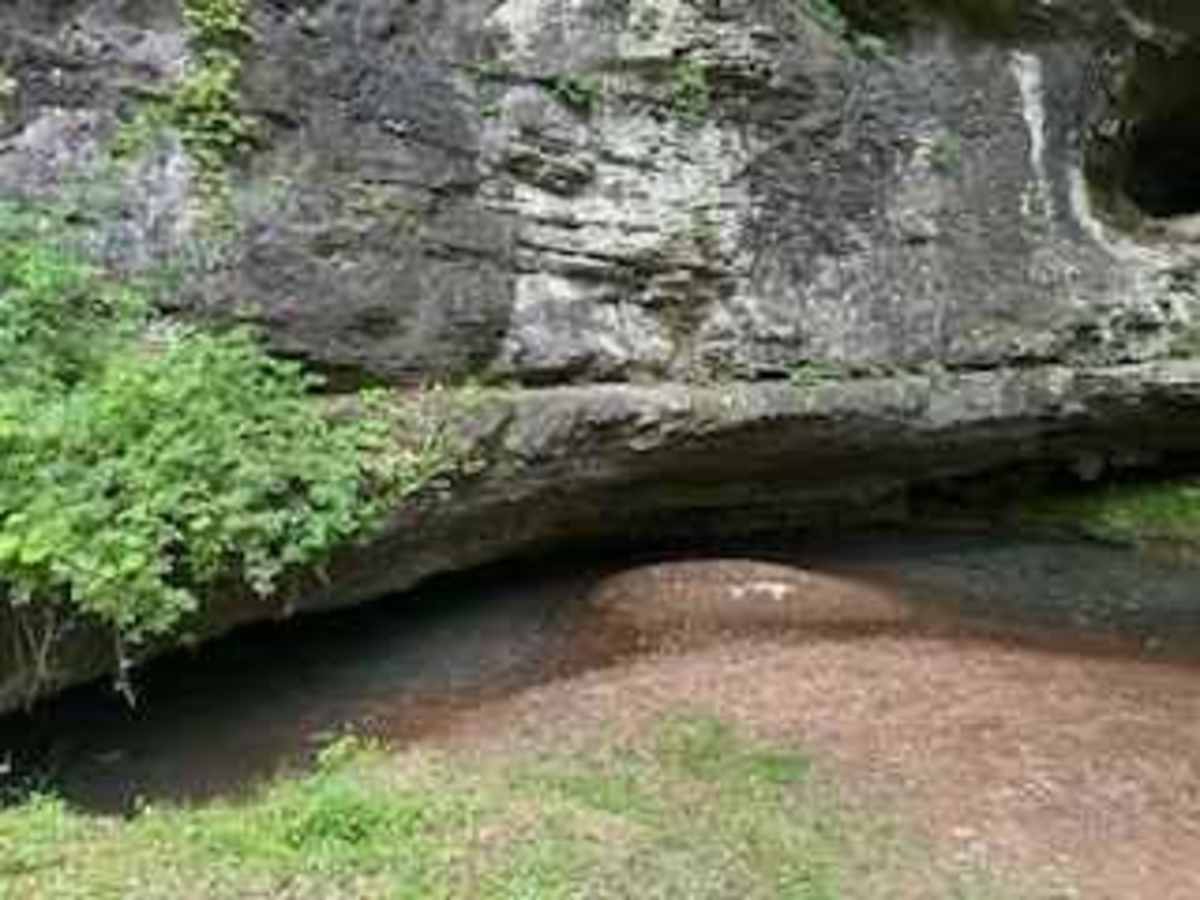 Wolf Creek Road photo 4