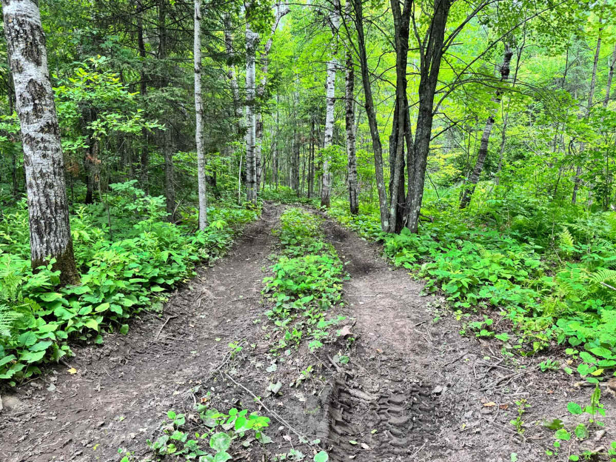 Rocky Start photo 3
