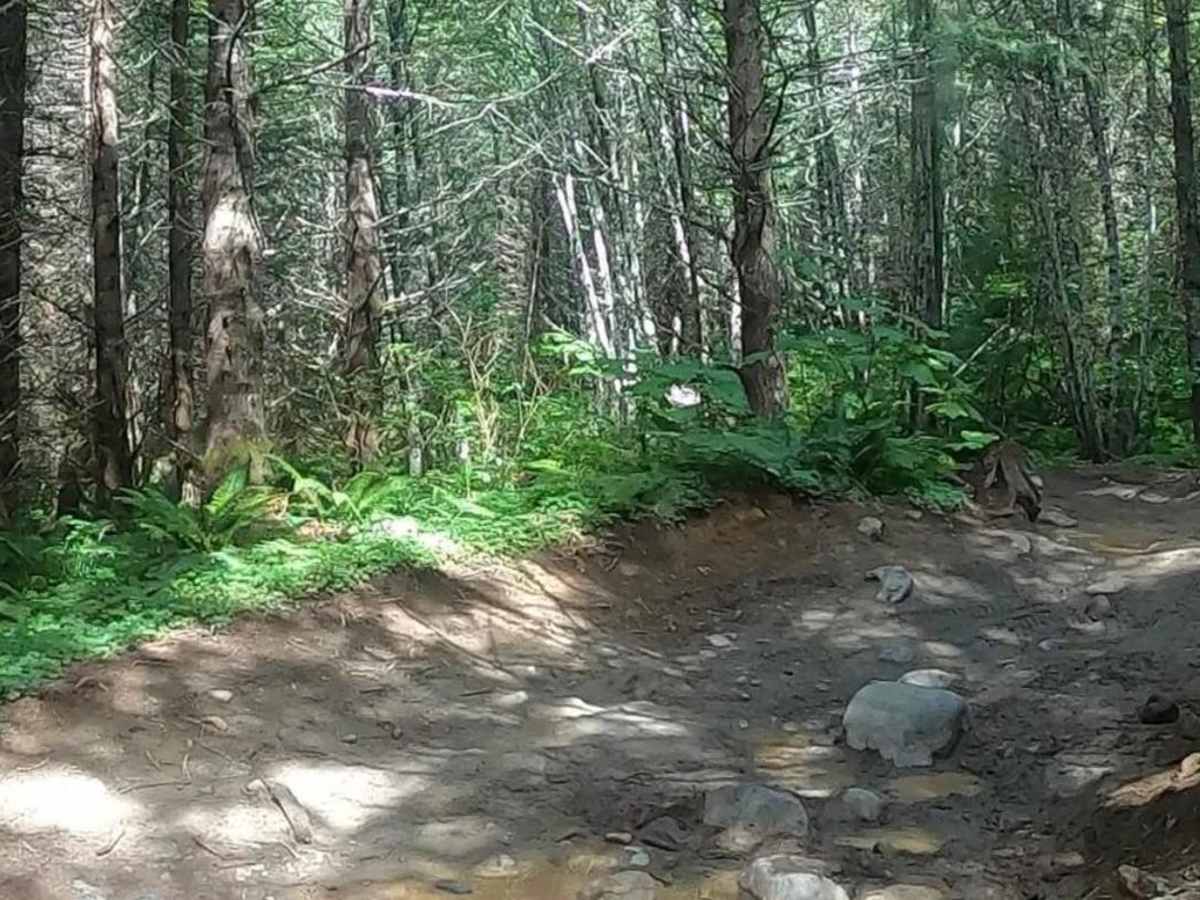Sunrise Trail photo 4