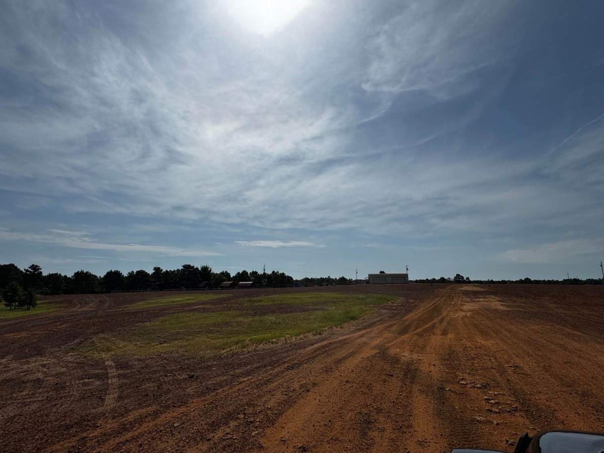 Main Road photo 3