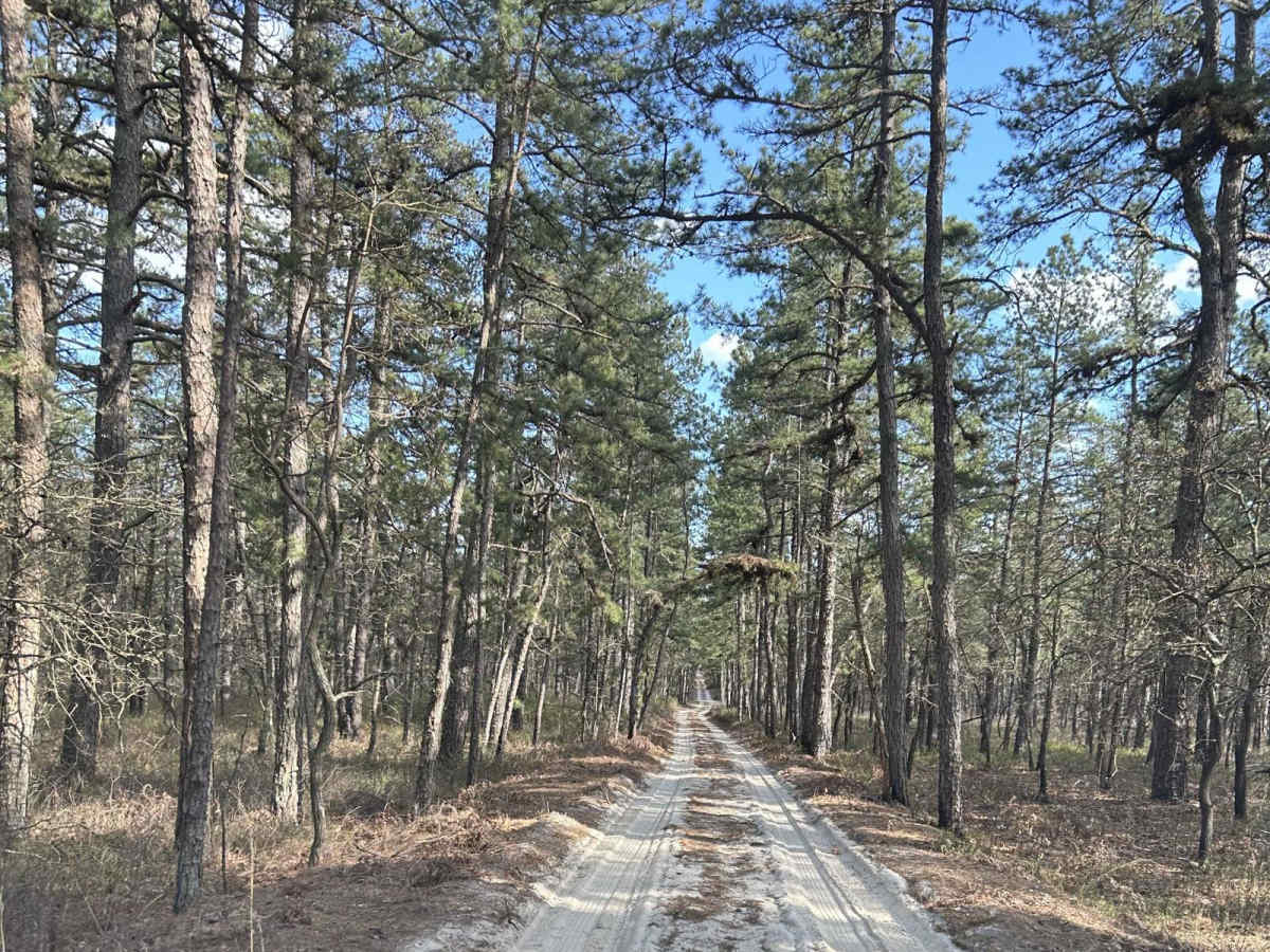 Marcus Trail photo 2