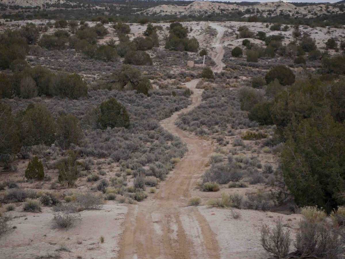 Three Eyed Monkey trail photo