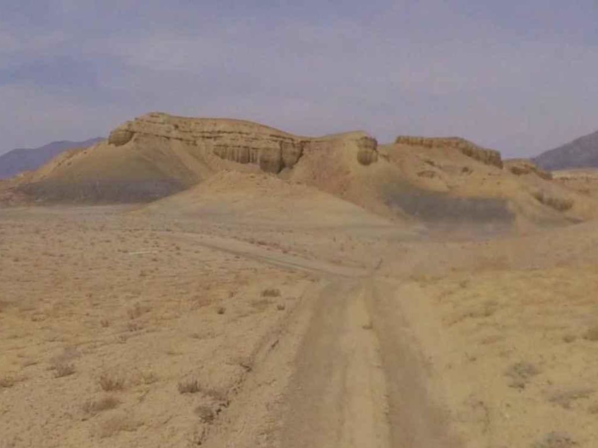BLM13040 photo 5