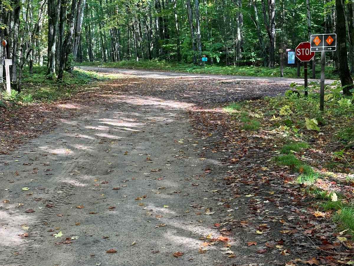 FS 2483 trail photo