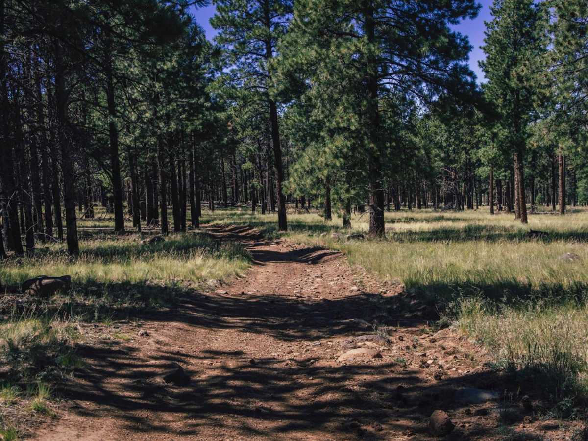 High Grass Crossing photo 6