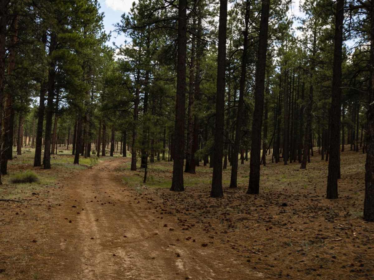 Elk Spring photo 6