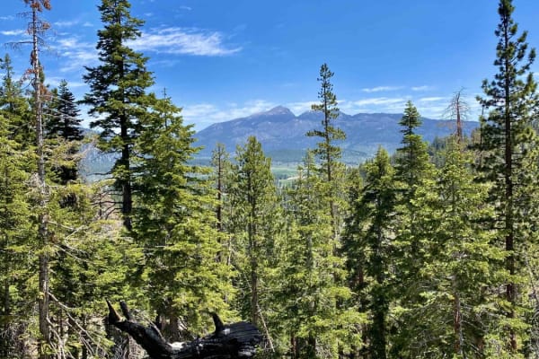 Jackass Peak