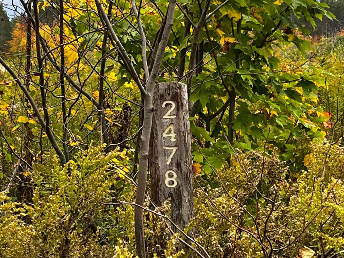 FS 2478 trail photo