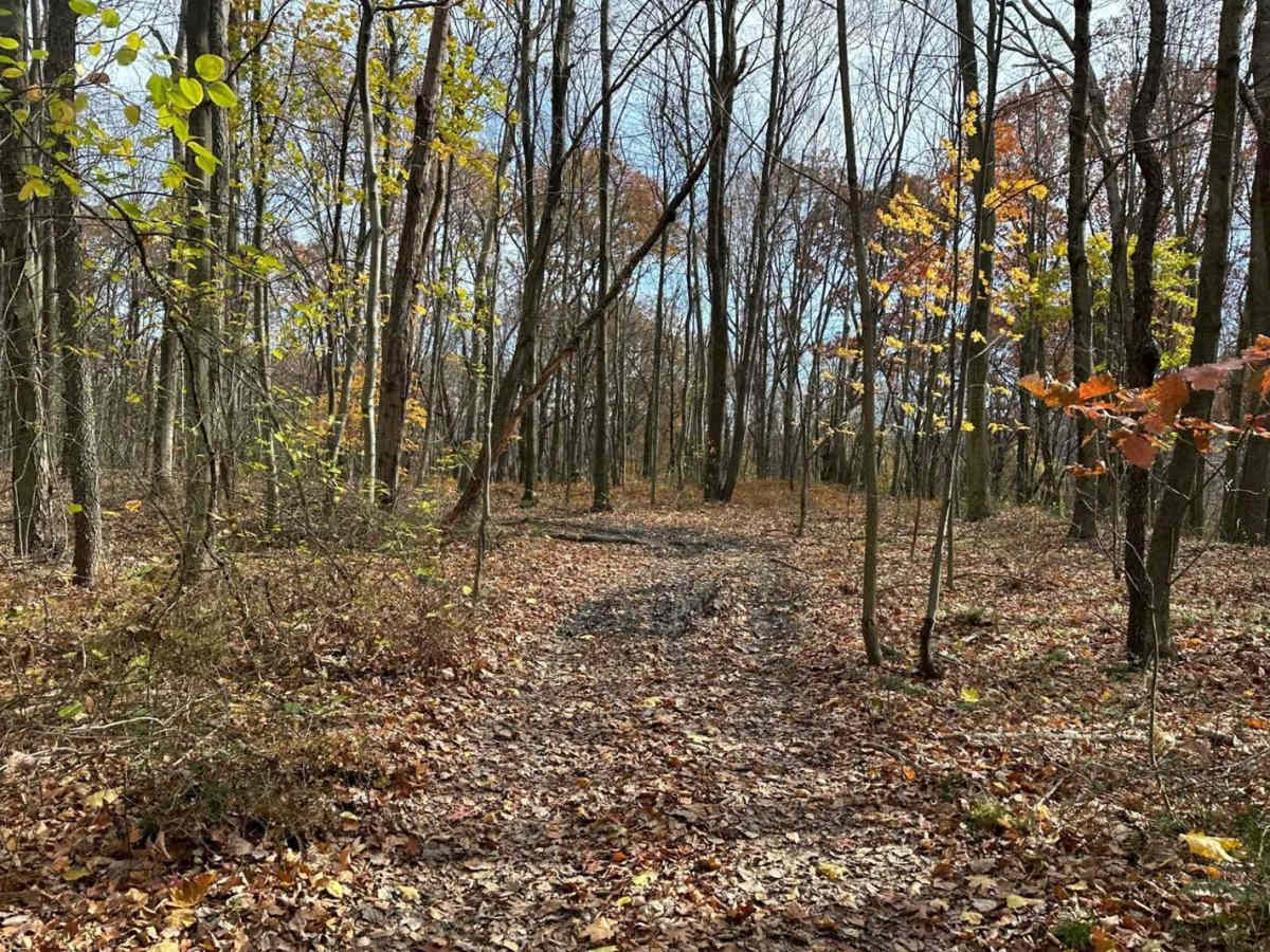 Ashland 151 photo 2