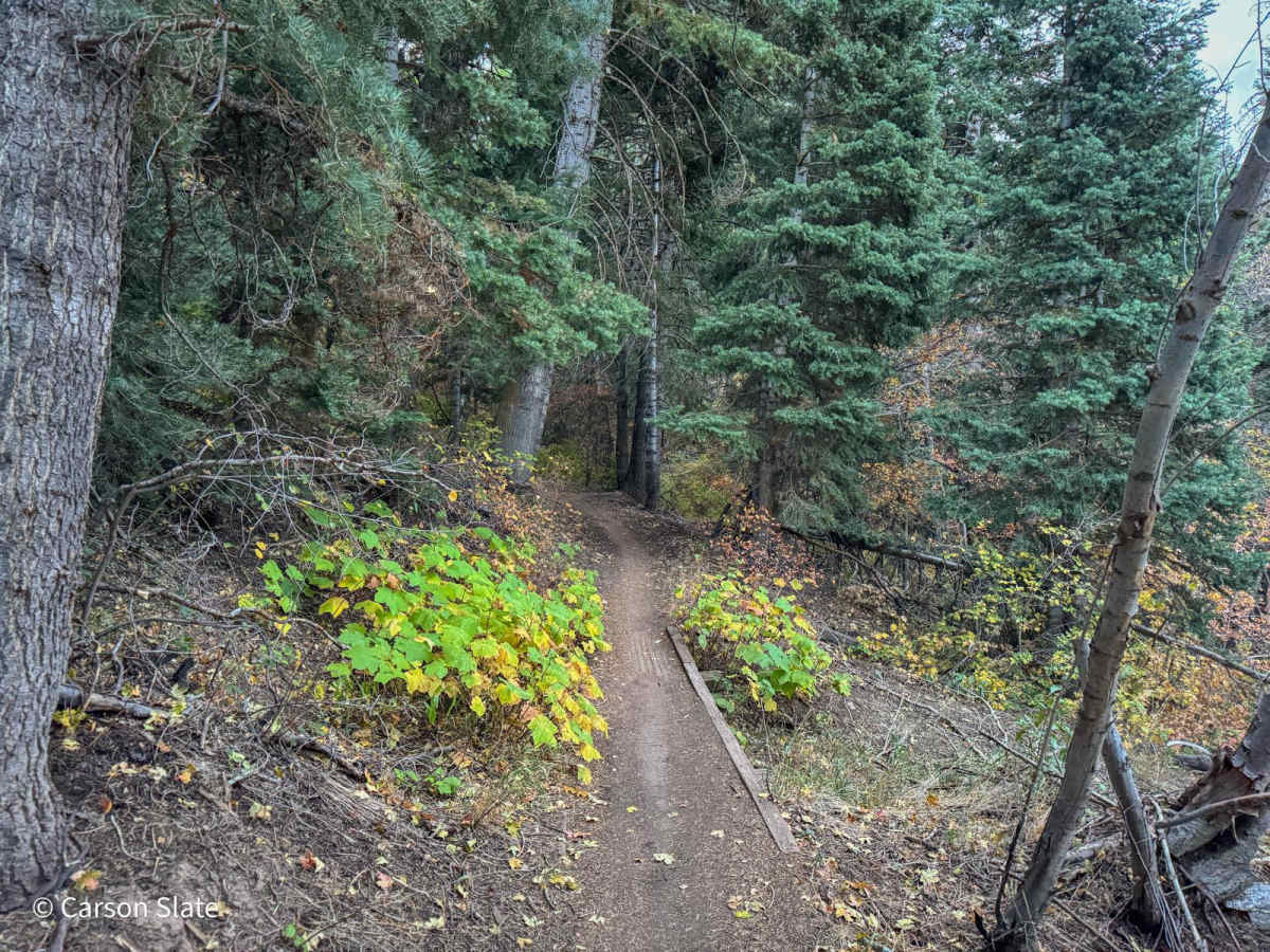 Mueller Park photo 3