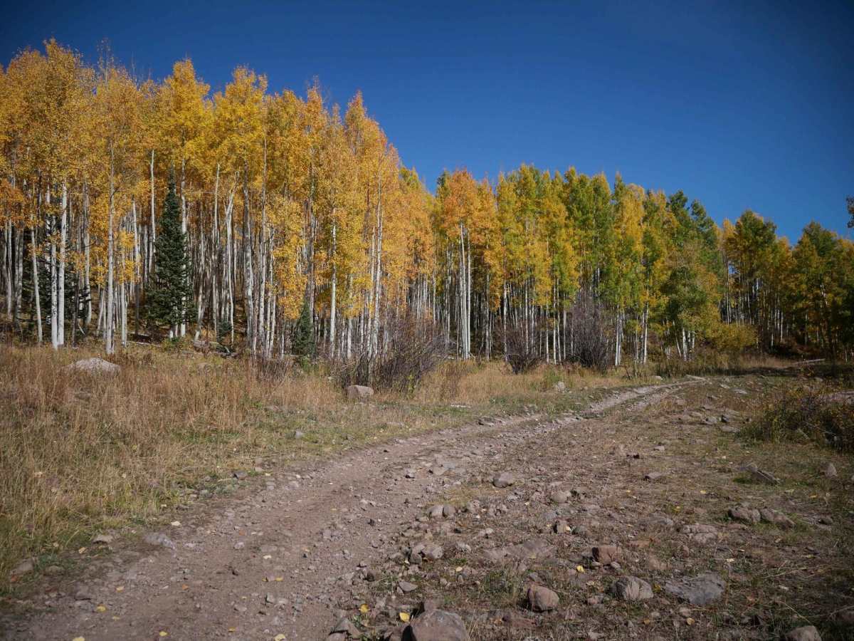 Cowboy Lakes ATV photo 6