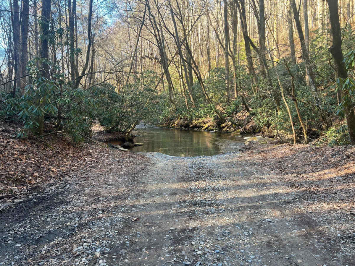 Cashes Valley Road photo 6
