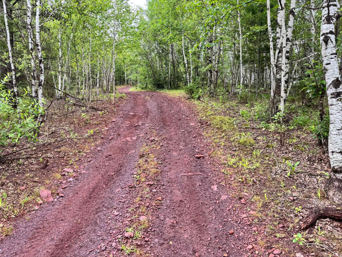 Pinestraw photo 4