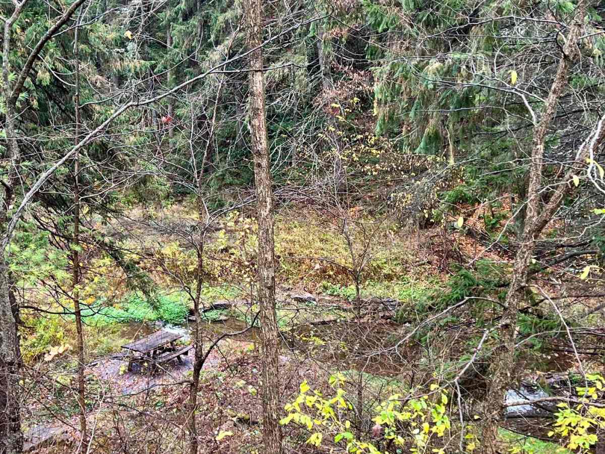 Firetower Road photo 2