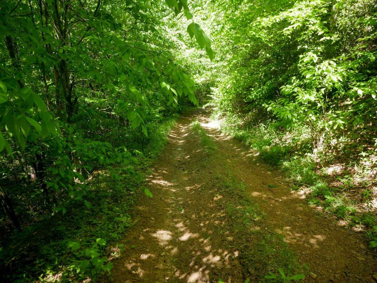 RV57 trail photo