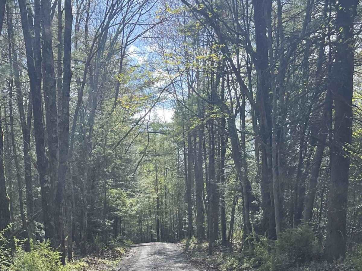 Hazard Road photo 2