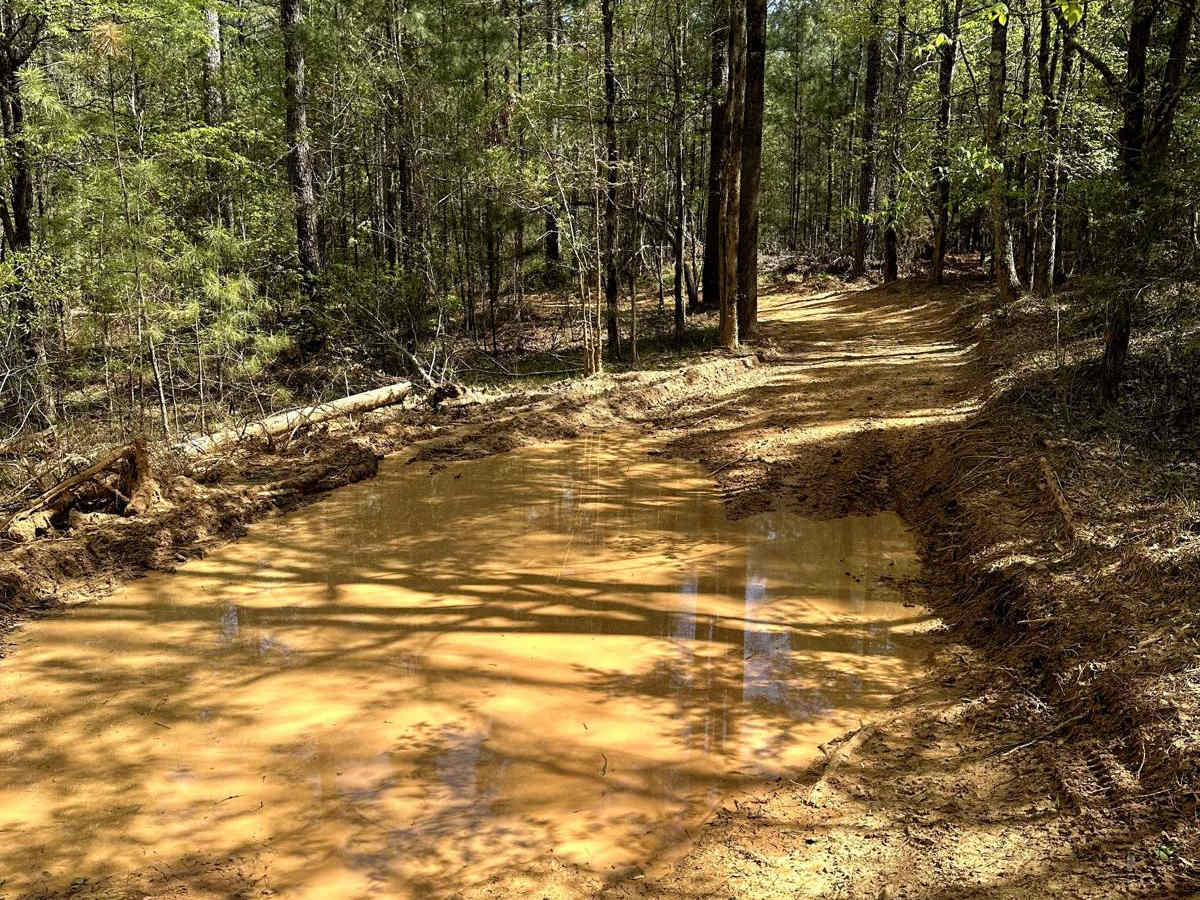 Trail 42 photo 2