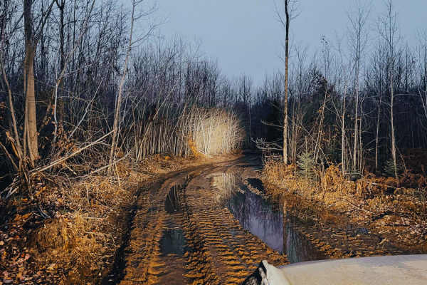 Westman Lake Logging Route